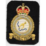 Royal Air Force Officer Cadet Training Unit Squadron Patch