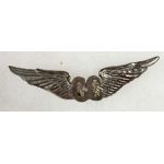 Vietnam Army Crew Chief Unofficial Sand Cast Wing