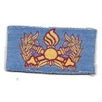 ARVN / South Vietnamese Army Ordnance Qualification Patch