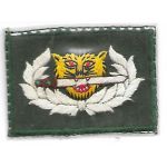 Vietnam Era Thailand Army Ranger Qualification Patch