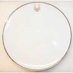 Vietnam Era Air America Noritake Made Dinner Plate