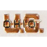 WWII Ohio  State Guard Collar Device