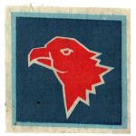 ARVN / South Vietnamese Army Infantry Recon Pocket Patch