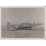 B-24 Bomber Collection Photo of Captured Heinkel HE 111