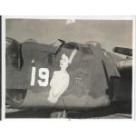 WWII Fertile Myrtle B-24 Nose Art Photo