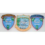 Vietnam US Air Force Operation Home Coming Flight Surgeon Patch Set