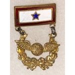 WWI Aviation / Air Mail Son In Service Patriotic / Sweetheart Pin