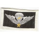 ARVN / South Vietnamese Army Pattern Master Airborne Jump Wing