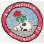 Vietnam US Air Force 509th Fighter Interceptor Squadron Patch