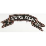 Vietnam 1st Battalion 502nd Infantry Strike Recon Scroll