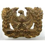 US Army Warrant Officer Cap Eagle