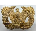 US Army Warrant Officer's Cap eagle