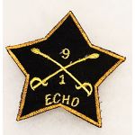 Vietnam E Troop 1st Squadron 9th Cavalry Pocket Patch