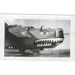 WWII Tiger Face B-24 Nose Art Photo