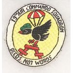 Vietnam US Air Force 19th Air Commando Squadron Patch