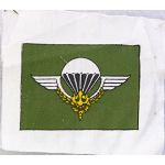 Vietnam Era Laotian Airborne Wing Patch
