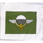 Vietnam Era Laotian Airborne Wing Patch