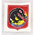 ARVN / South Vietnamese Army 1st Battalion 56th Infantry Regiment Patch