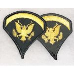 Vietnam Era Specialists Four Chevron