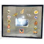 Vietnam Airborne Advisors Presentation Embroidered Plaque