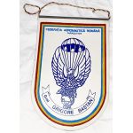 Romanian Airborne Wall Hanger