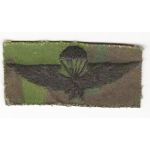 ARVN / South Vietnamese Special Forces Pattern Basic Airborne Jump Wing On BDQ Camo.