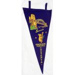 WWII American Forces IN Australia Felt Pennant