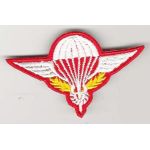 Vietnam Era Laotian Army Airborne Jump Wing