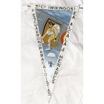 Spanish 3rd Vikings 1st Airborne Squadron Pennant