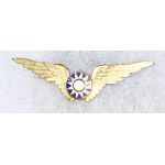 1945-1949 Nationalists Chinese / KMT Air Force 5th Training Class Special Pilots Wing