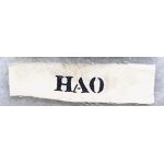 ​​ARVN / South Vietnamese Army Hao Name Tag
