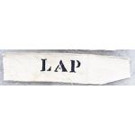 ​​​​​​​ARVN / South Vietnamese Army Lap Name Tag