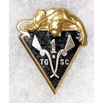 Vietnam 1st Montangnard Company Drago Badge