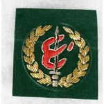 ​ARVN / South Vietnamese Army Thu Doc Infantry School Bullion Beret Badge