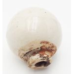 ​WWII era Japanese Ceramic Grenade