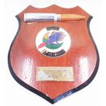 Vietnam US Air Force Spectre AC-130 Gunship Plaque