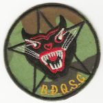 ​​ARVN / South Vietnamese Army Ranger Recon Company Patch