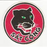 ARVN / South Vietnamese Army 1st Division Strike Company Patch