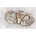 Vietnam US Special Forces SOG Sandcast Jump Wing