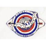 ​Vietnam A Company 501st Airborne Infantry STRIKE Pocket Patch
