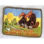 Vietnam US Air Force AC-130 Gunship Patience My Ass Patch