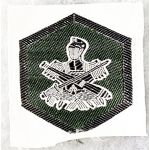 ARVN / South Vietnamese Regional Forces / Popular Forces Patch