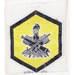 ​ARVN / South Vietnamese Regional Forces / Popular Forces Patch