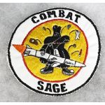 Vietnam US Air Force 1st Test Squadron F-4 COMBAT SAGE Squadron Patch