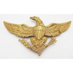 1840's-1850's US Militia Eagle Cap Badge