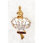 Laotian Direct Service De Sank Au Badge