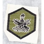 ​​ARVN / South Vietnamese Regional Forces / Popular Forces Patch