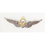 Iranian Army Aviator Wings