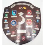 Vietnamese Advisory Group Member Beercan Presentation Plaque