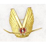 WWII CPT Mira Loma Flight School Instructors Cap Badge